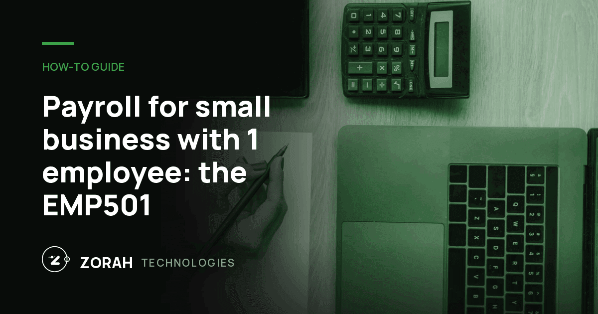 Payroll for small business with 1 employee: the EMP501