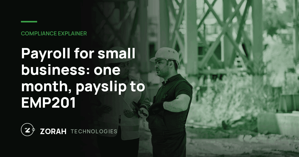 Payroll for small business: one month, payslip to EMP201